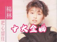 情人，故事的真相 杨林十大经典歌曲精选合集 【最高音质】怀旧歌曲